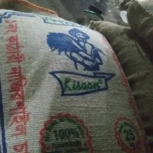 sugondhi najirshail