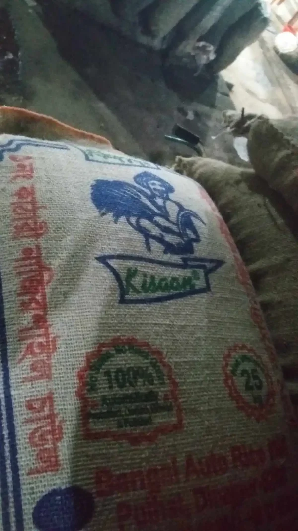 sugondhi najirshail